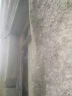knockduff 16315.jpg