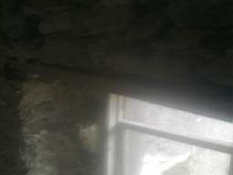knockduff 16330.jpg
