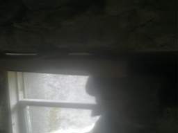 knockduff 16335.jpg