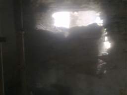 knockduff 16350.jpg