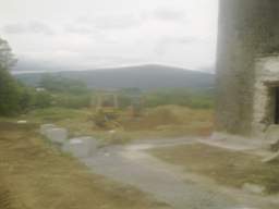 knockduff 16405.jpg