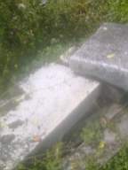 knockduff 16410.jpg