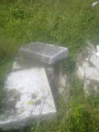 knockduff 16425.jpg