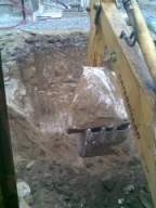 knockduff 16560.jpg