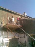 knockduff 16720.jpg