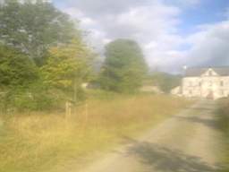 knockduff 17040.jpg