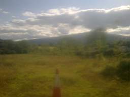 knockduff 17045.jpg