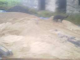 knockduff 17105.jpg