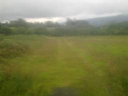 knockduff 17110.jpg