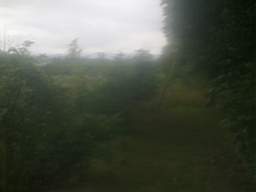 knockduff 17125.jpg
