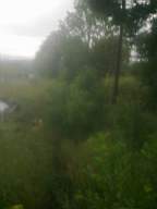 knockduff 17130.jpg