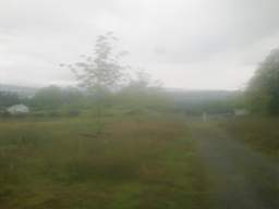 knockduff 17135.jpg