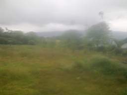 knockduff 17145.jpg