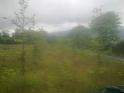 knockduff 17150.jpg