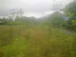 knockduff 17180.jpg