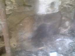 knockduff 17215.jpg
