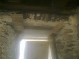 knockduff 17225.jpg