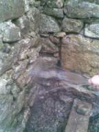 knockduff 17335.jpg