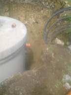 knockduff 17530.jpg