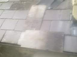 knockduff 17665.jpg