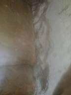 knockduff 17830.jpg