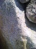 knockduff 17880.jpg