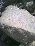 knockduff 17885.jpg