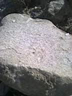knockduff 17890.jpg