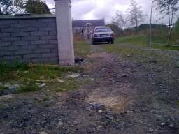 knockduff 17925.jpg