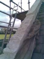 knockduff 18095.jpg