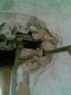 knockduff 18195.jpg