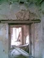 knockduff 18255.jpg