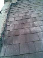 knockduff 18315.jpg