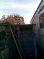 knockduff 18350.jpg