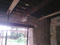 knockduff 19065.jpg