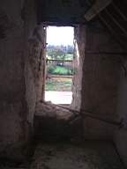 knockduff 19115.jpg