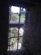 knockduff 19120.jpg