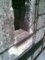 knockduff 19330.jpg