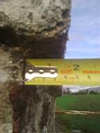 knockduff 19805.jpg