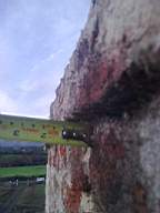 knockduff 19810.jpg