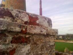knockduff 19820.jpg