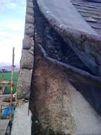 knockduff 19905.jpg