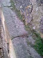 knockduff 19915.jpg