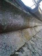 knockduff 19960.jpg