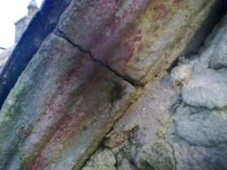 knockduff 19975.jpg