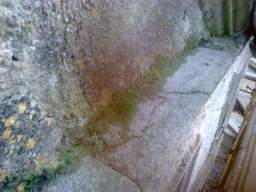 knockduff 19985.jpg