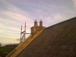 knockduff 20000.jpg