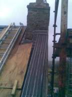 knockduff 20060.jpg