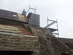 knockduff 20200.jpg