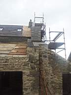 knockduff 20205.jpg